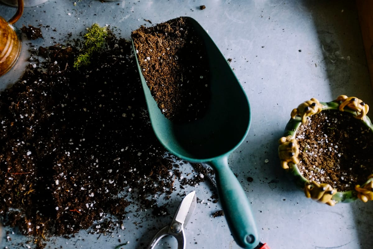Rich Soil