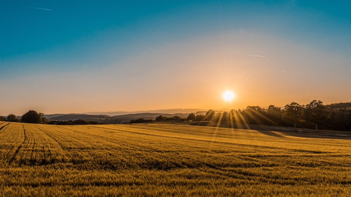 Rolling Green Fields