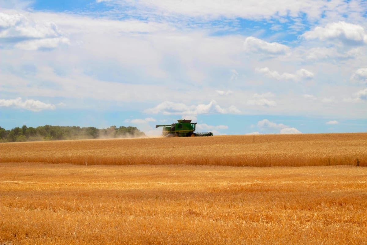 Wheat Harvest